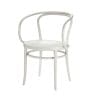 Thonet_Stuhl__209_M__FS1_1V1.jpg