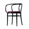 Thonet_Stuhl__209_P__FS0_1